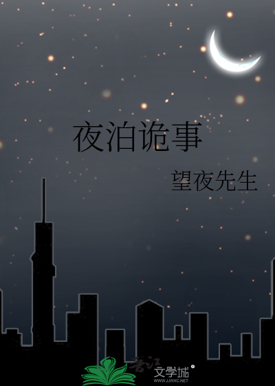 夜泊小说