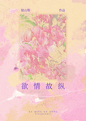 快穿之引路人